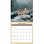 2026 Willow Creek Wild America 12" x 12" Monthly Wall Calendar (53270)~#|#~DD71D083-C776-4439-BB5F3337B150DE89_sc7