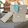 Household Essentials Large Stackable Folding Corrugated Storage Bin, 10" x 16"x 19", 53 Qt., Cream, 2/Pack (7425-1)~#|#~DDB66832-57E3-4F95-BB927E6FCFB3C56A_sc7