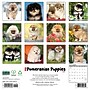 2027 Willow Creek Pomeranian Puppies 12" x 12" Monthly Wall Calendar, Assorted Colors (61848)~#|#~DDD3A171-5587-4B58-8706D1C434E4E737_sc7
