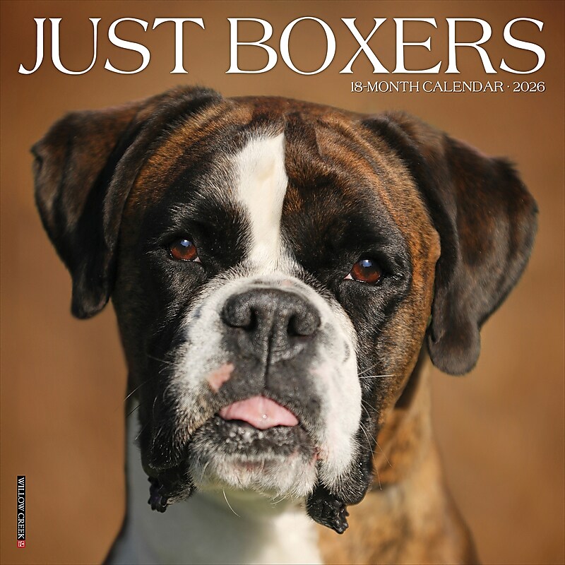 2026 Willow Creek Boxers 12" x 12" Monthly Wall Calendar (50378) image 1