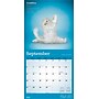 2026 BrownTrout Yoga Cats 12" x 12"  Monthly, Paper Cover, Yoga Cats (9798330701919)~#|#~DDEF3B39-D8C4-4FE9-A32116F421EA98D3_sc7