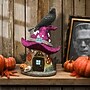 National Tree Company 10" Purple Hat Haunted House with LED Light (PG11-FJ07311-1)~#|#~DDFAD410-3916-4D34-8339DCADE60CEF3F_sc7
