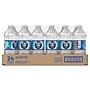 Pure Life Purified Water, 20 oz., 24/Carton (12255068)~#|#~DE01DE31-8DAC-490B-A4C77DCB6DCA15C5_sc7