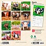 2026 BrownTrout Piglets 7" x 7" Monthly Wall Calendar (9798330705122)~#|#~DE09FEAD-EDCA-4038-AB778B68F461FA6B_sc7