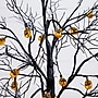 Nearly Natural Pre-Lit Artificial Halloween Black Twig Tree, 3' (T5360)~#|#~DE1798FB-9A71-4510-B5CFC0A6AF3CAF37_sc7