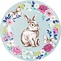 Say Hooray! Sights of Spring Bunny Disposable Paper Plates and Napkins Set, 48/Pack (DTC9648E2G)~#|#~DE3494A5-998F-4A39-BC6EBF75940F5FDC_sc7