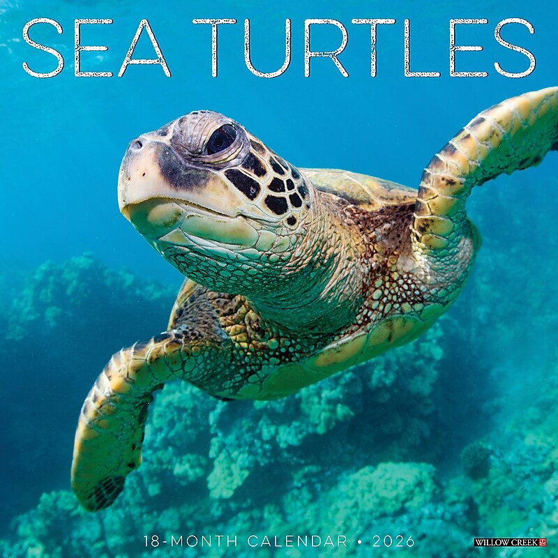 2026 Willow Creek Sea Turtles 12" x 12" Monthly Wall Calendar (55540) image 1