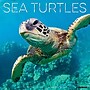 2026 Willow Creek Sea Turtles 12" x 12" Monthly Wall Calendar (55540)~#|#~DE3B86A9-D61C-49EF-976F15C75E3A6E3C_sc7