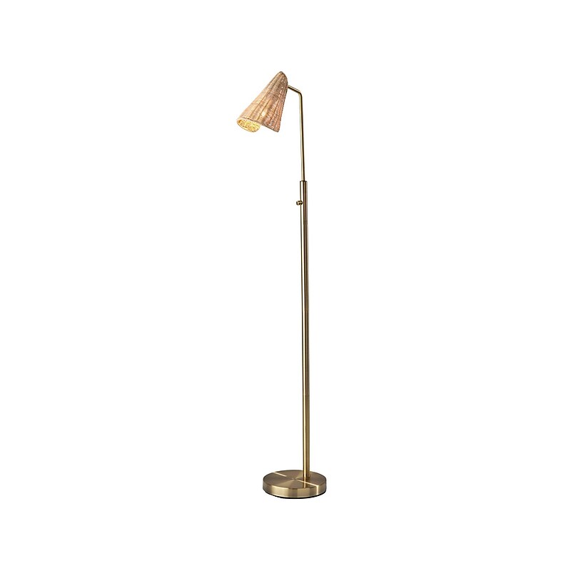 Adesso Cove 58" Antique Brass Floor Lamp with Irregular Shade (5113-21) image 1
