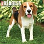 2027 Willow Creek Beagles 12" x 12" Monthly Wall Calendar, Assorted Colors (59104)~#|#~DE5B5E32-9610-4866-B3647C2A1E2FD347_sc7