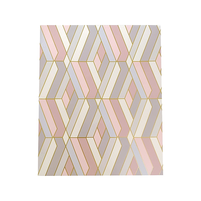 Carolina Pad Keep It in Line 3-Hole Punched 2-Pocket Paper File Folder, Assorted Colors (65049) image 1
