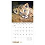 2027 TF Publishing Baby Animals 11" x 12" Monthly Wall Calendar (27-1000)~#|#~DE861D12-4356-4F1D-BD18148D0139EEA8_sc7