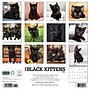 2026 Willow Creek Black Kittens 12" x 12" Monthly Wall Calendar (50293)~#|#~DE90683C-1D28-47E7-979054589A6C967C_sc7
