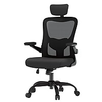 FlexiSpot Pro Comfort Swivel Computer and Desk Chair