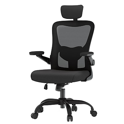 FlexiSpot Pro Comfort Swivel Computer and Desk Chair, Black (OC1BK-SD-DP) Simolary simolary.com