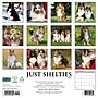 2027 Willow Creek Shelties 12" x 12" Monthly Wall Calendar, Assorted Colors (62302)~#|#~DEBA9A50-4E38-4C15-85D18A81BD4DE186_sc7