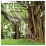 2027 TF Publishing Trees 10" x 12" Monthly Wall Calendar, Multicolored (27-1029)~#|#~DEE57BB6-71E4-4499-B2F4C82E4EB267A7_sc7