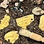 Yellow Door Dig and Discover Pliosaur & Stegosaurus, Assorted Colors, 10/Set (YUS1229)~#|#~DEE5B791-C4A9-4610-8C0708F207ACD10F_sc7