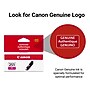 Canon 251 Magenta Standard Yield Ink Cartridge   (6515B001)~#|#~DEEDB9BB-61AD-48A9-B830960EB2D02819_sc7