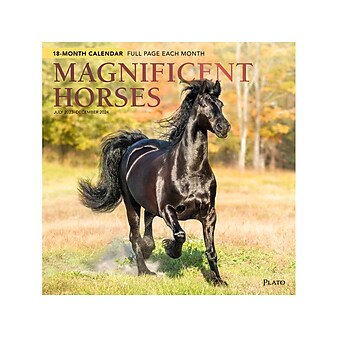 2023-2024 Plato Magnificent Horses 12" x 12" Academic & Calendar Monthly Wall Calendar (9781975467173)