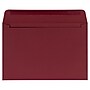 JAM Paper Booklet Envelope, 6" x 9", Garnet, 50/Pack (EX4820-26-50)~#|#~DF038700-C8EA-43A2-967AB96652FF8A54_sc7