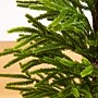 Nearly Natural Artificial Real Touch Norfolk Island Pine in Christmas Tin Metal Planter, 32" (T5388)~#|#~DF109C16-9716-4B6E-9A4AABC4DC815A56_sc7