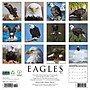 2026 Willow Creek Eagles 12" x 12" Monthly Wall Calendar (51030)~#|#~DF117062-241D-447C-9ECFF7A030C6BE2F_sc7