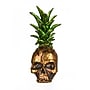 National Tree Company 14" Halloween Pineapple Skull Tabletop Decor (HH75-HP203417Z1)~#|#~DF162ABF-D2EF-4E56-873B530A588DAB62_sc7