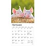 2026 BrownTrout Piglets 7" x 7" Monthly Wall Calendar (9798330705122)~#|#~DF1F0188-37DB-4739-A9371DBF66C05E0B_sc7