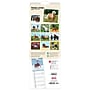 2026 BrownTrout Horse Lovers 5.88" x 16.5" Monthly Wall Calendar (9798330703722)~#|#~DF241340-9AAC-4D5E-B9F7E14B4872BB5B_sc7