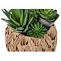 Monarch Specialties Inc. 9" Artificial Succulent Plant in Basket, 2/Set (I 9369)~#|#~DF3D7774-8B97-43AB-85361FC71E8E7456_sc7