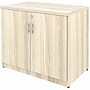 Lorell Essentials Series 29.5" Storage Cabinet With 2‑Doors, Modern Elm (LLR66333)~#|#~DF8BB361-84B9-4AD9-94CE606B504F6225_sc7