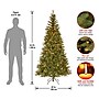 National Tree Company Aspen Spruce Artificial Christmas Tree, 6.5 ft., Clear Lights (AP7-300-65)~#|#~DF91B031-296C-4887-B52551A528BE3B6F_sc7