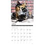 2026 Willow Creek Calico Cats 12" x 12" Monthly Wall Calendar (50484)~#|#~DF9852D9-1263-4CDA-BB3300D9D4A06966_sc7