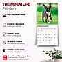 2027 BrownTrout Boxer Puppies 7" x 7" Monthly Wall Calendar, Assorted Colors (9798330709946)~#|#~DFAEED97-4A36-4730-BB7C4BF1EBBDDF22_sc7