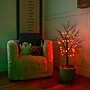Nearly Natural Pre-Lit Artificial Halloween Black Twig Tree, 3' (T5360)~#|#~DFBAC8F4-0F5A-46D7-AC346EAB65987F7E_sc7