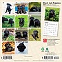 2027 BrownTrout Black Labrador Retriever Puppies 7" x 7" Monthly Wall Calendar (9798330714315)~#|#~DFC4732C-4217-4C7E-AA99E0D13DAFEE7C_sc7