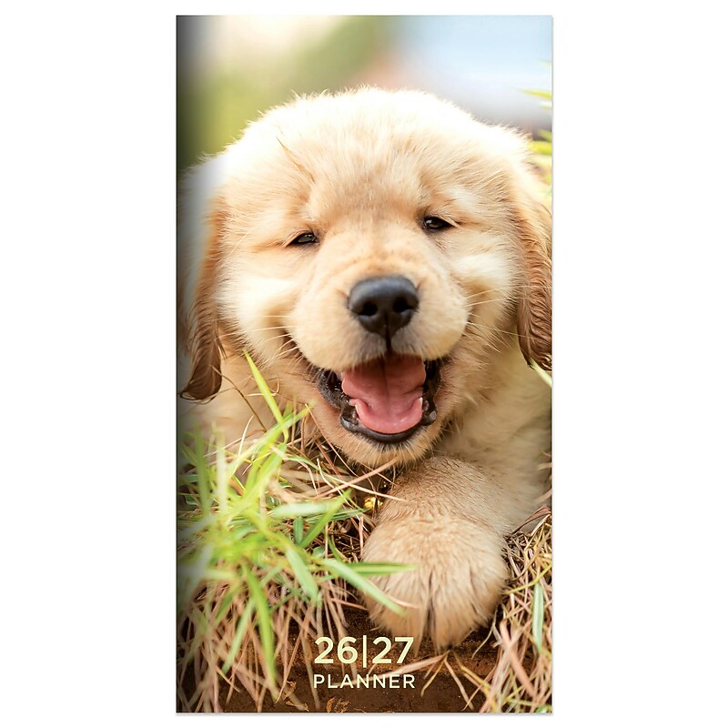 2026-2027 TF Publishing Dog 3.5" x 6.5" Monthly, Paperboard Cover, Multicolored (26-7016) image 1