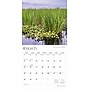 2026 BrownTrout Louisiana Wild & Scenic 12" x 12" Monthly Wall Calendar (9798330704408)~#|#~DFD53149-F757-42DA-8B4623490CFE86B7_sc7