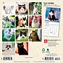 2027 BrownTrout Cat Lovers 7" x 7" Monthly Wall Calendar, Assorted Colors (9798330709717)~#|#~E0033844-7513-470A-914EBE6273458D81_sc7