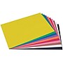 Prang 12" x 18" Construction Paper, Assorted Colors, 50 Sheets/Pack, 5 Packs/Bundle (PAC6507-5)~#|#~E00C5B2C-9718-46BF-BEA6FD3A7957A445_sc7