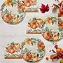 Say Hooray! Harvest Delight Paper Plates and Napkins Kit, Multicolored, 48/Pack (DTC9388E2G)~#|#~E010AE59-DB5E-413B-AB04DE948AB4027C_sc7