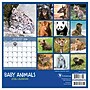 2026 TF Publishing 12" x 17" TF Publishing 7" x 7" TF Publishing 7" x 7" Baby Animals Mini Calendar 26-2000~#|#~E0143B21-CCB5-4C7E-8ECFD336C7D88EEB_sc7