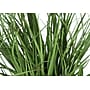 Monarch Specialties Inc. 23" Artificial Grass Plant in Pot (I 9575)~#|#~E0191043-D1EF-424D-89D3F0ED8E729012_sc7