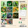 2026 BrownTrout Hummingbirds 7" x 7" Monthly Wall Calendar (9798330703791)~#|#~E02F2299-CBB5-43F8-96A059A476C270BA_sc7