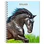 2026 BrownTrout Horse Lovers 6.5" x 7.75" Weekly Planner (9798330703692)~#|#~E0434D53-2BFF-4953-A90278F4267FFABC_sc7