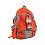 First Aid Only 209-Piece Shelter-in-Place Emergency Preparedness Backpack, Orange/Gray (91308)~#|#~E047817E-D335-490A-928A2AC6F0665B40_sc7