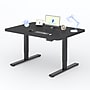 FlexiSpot ET2 55"W Electric Rectangular Adjustable Standing Desk, Black~#|#~E063134B-BC17-402C-B36AA684F6C6C71C_sc7