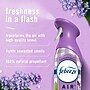 Febreze Air Mist Air Freshener Spray, Southern Lilac Mornings Scent, 8.8 oz., 2/Pack (13749)~#|#~E0664611-ED97-4147-84F9A5C45579AA6D_sc7