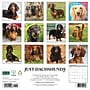 2027 Willow Creek Dachshunds  12" x 12" Monthly Wall Calendar (59968)~#|#~E083198B-62CC-483F-A9A58CC14AE155E8_sc7
